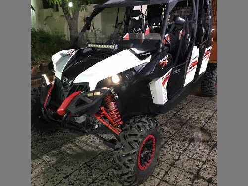 Buggy  Can-AM  2015