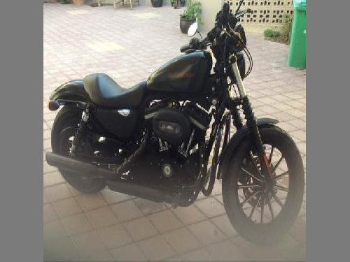 Harley Davidson  Iron 883  