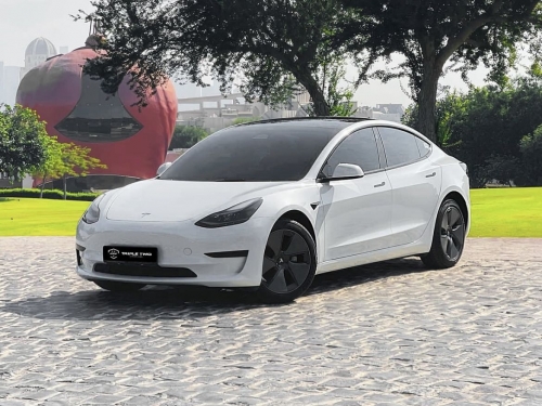 Tesla Model 3   2022